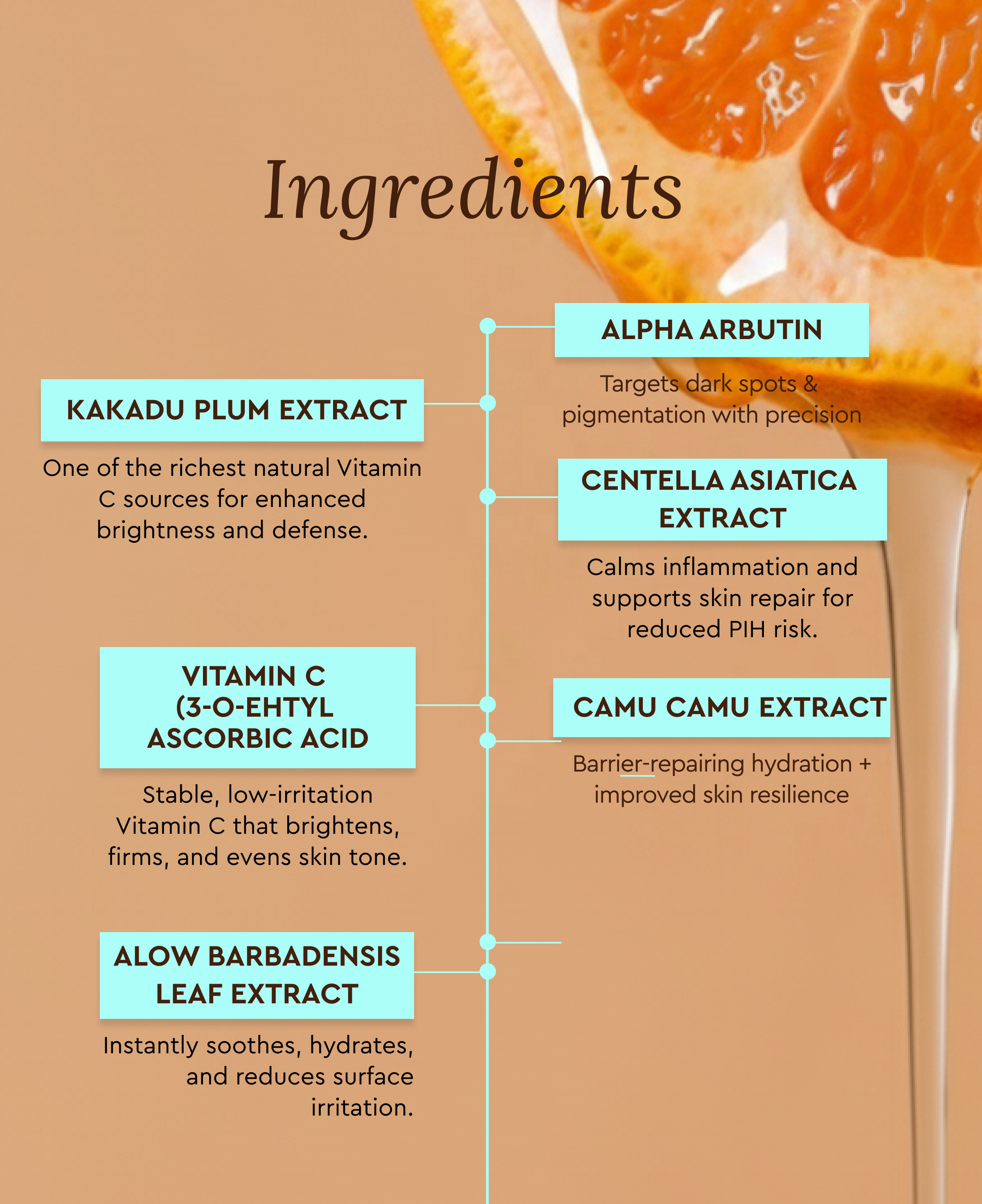 BRIGHT – 10% VITAMIN C FACE SERUM