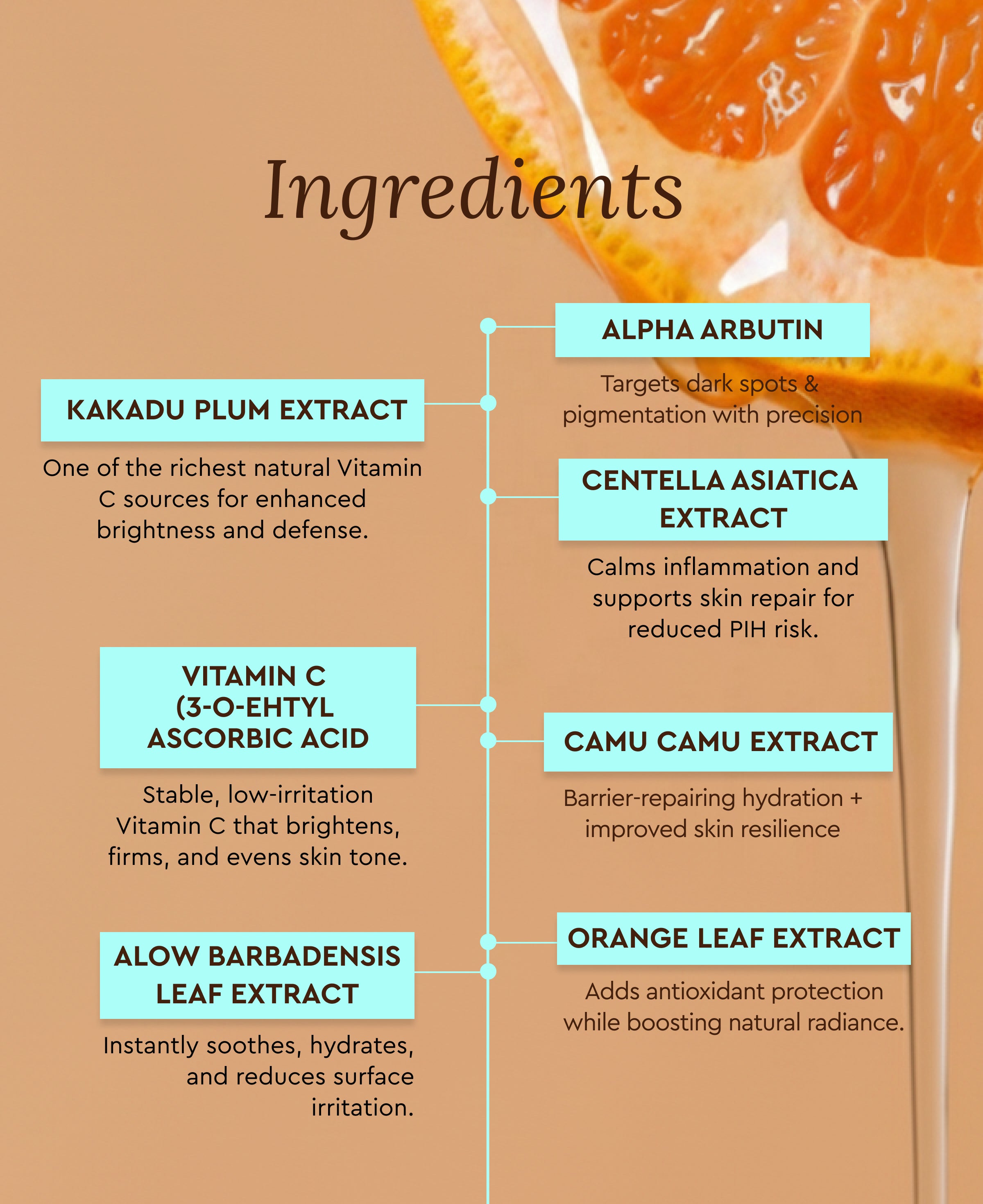 BRIGHT – 10% VITAMIN C FACE SERUM